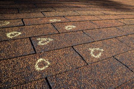 5 Signs Your Roof Needs Immediate Attention