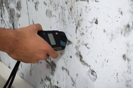 Mitigation Services