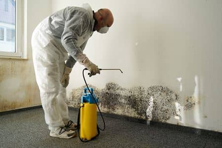Mold Mitigation